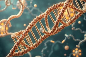 Molekulare Biologie: DNA und RNA