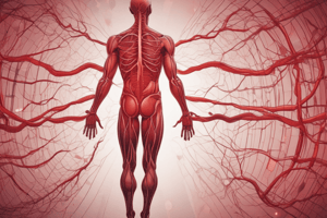 Human Blood and Blood Circulation