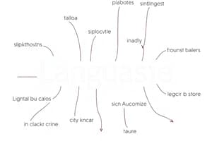 Design Features of Language