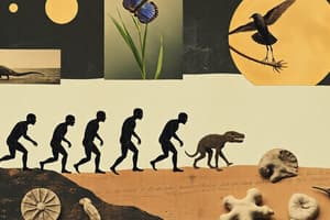 Evolution: Theories, Fossils, and Relationships