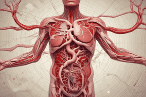 Cardiovascular System Circulation