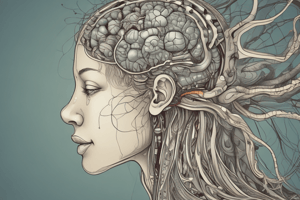 Neuroanatomy Module: Somatosensory Pathways