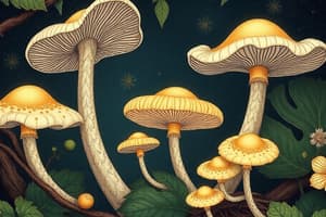 Keanekaragaman Hayati dan Fungi