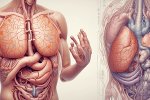 Digestive System Disorders and Complications