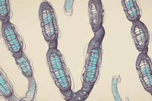 Genes Along Chromosomes