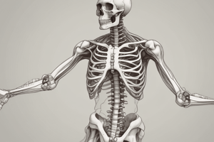 Scapula and Clavicle Features