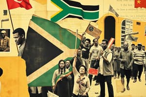 Anti-Apartheid Movement Overview