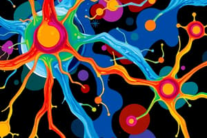 Nervous System and Neurones Overview