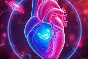 Heart Development Quiz