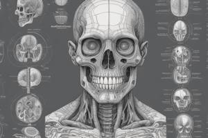 Anatomy and Physiology Basics