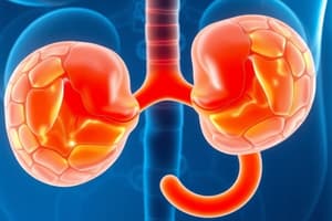 Adrenal Glands Overview