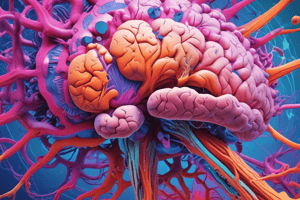 Forebrain Organization: Internal Structure & Basal Ganglia - Part III Quiz