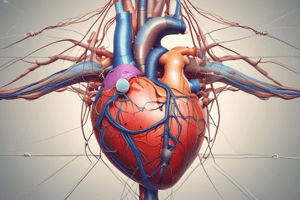 Physiology of Cardiac Function