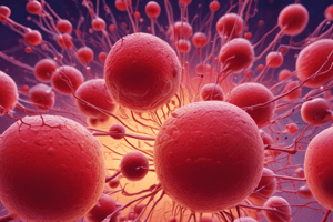 Platelet Aggregation and Thrombus Formation Quiz