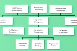 Organizational Structures Overview