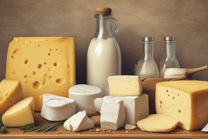 Introduction to Cheese