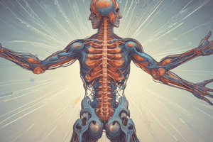 Pain Transmission and Inhibition in the Spinal Cord