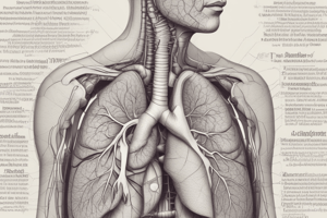 Physiology LE 2: Respiratory Physiology I