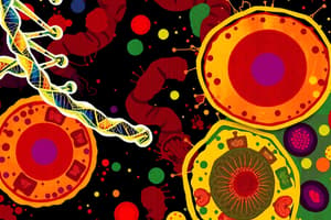 Human Cell DNA Structure and Length