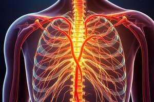 PNS: Thoracic Outlet Syndrome