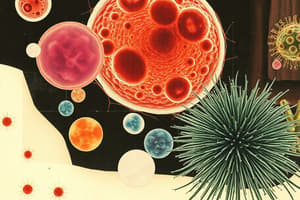 Prokaryotic vs. Eukaryotic Cells