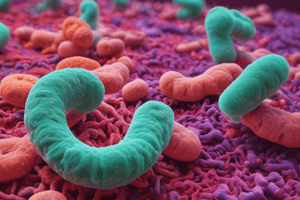 Clostridium perfringens and Gas Gangrene Quiz