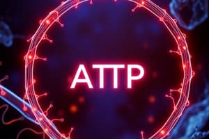 Cell Biology: ATP and Mitochondria Function