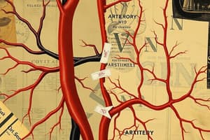 Circulatory System Overview Quiz