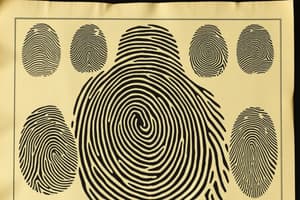 Fingerprint Classification Systems