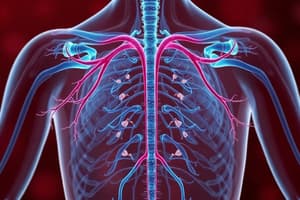 Endocrine System Overview