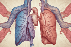 Les Dilatations des Bronches (DDB) en Médecine