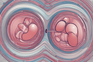 Urinary Diversions Overview