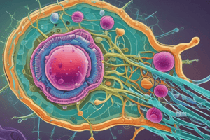 Bacterial Cell Structures: Protoplast, Spheroplast, and L Form