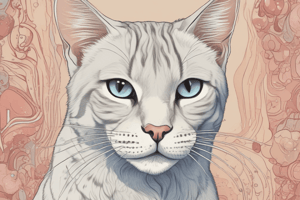 Feline Fundamentals: Understanding Cats