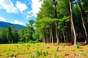 Aprovechamiento Forestal y Normativa