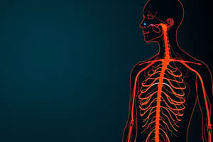 Autonomic Nervous System Overview