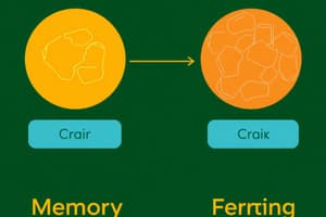 Memory Types and Functions