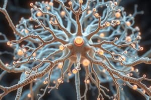 Biological Psychology and Nervous System Basics