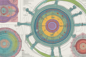 Cell Cycle Regulation