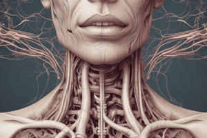 Structure and Function of the Trachea Quiz