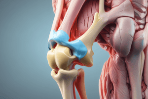 Human Anatomy: Knee Ligaments Quiz