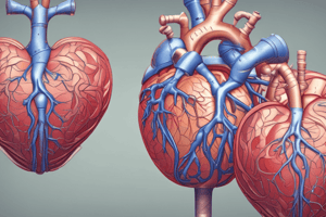 Heart Valves and Chambers