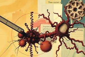 Pre-rRNA Processing and Ribosomal Assembly