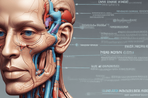 Anatomy of the Dura Mater Layers