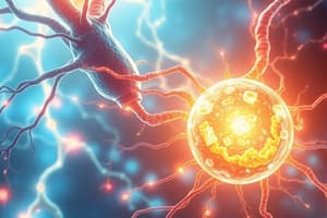 Biology Chapter: Cellular Energy & Circulatory System