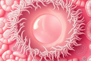 Epithelial Polarity and Specializations