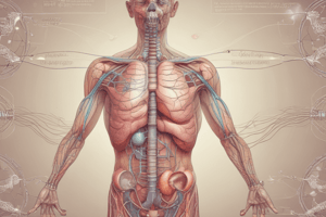 Respiratory Regulation and the Respiratory System