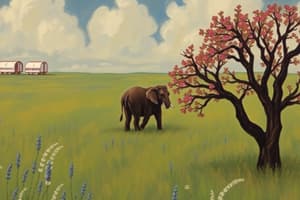 Hadoop Alapok és Big Data kihívások