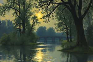 Culture and The Role of Language