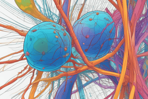 Cell Biology Chapter 3: Cytoskeleton and Cellular Motility